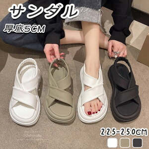 T_ fB[X  4CM  r ̎q 傫TCY V[Y C  y ₷ ̎q V[Y ɂ ؂ tbg ₷  _bhV[Y X