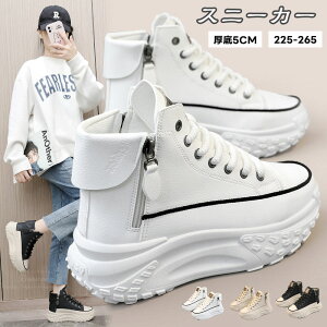  Xj[J[ Xb| 5cm 5cm ꃍ[t@[ O fB[X C Xj[J[ K r O 񂵗 gAbv ϖ r h q[Abv y V[Y 