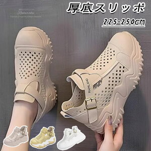 Xj[J[ fB[X  5cm ₷ T_ ̎q ₷ r  EGbW\[  JWAV[Y AEghA V[Y ʋ ʊw ig ̓ 