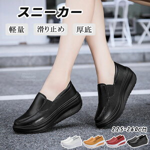 Xj[J[ fB[X  5cm ₷ ̎q n Ōt d E ₷ r EGbW\[  JWAV[Y AEghA V[Y ʋ ʊwC Ōt 