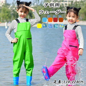 EF[_[ q hY{ j̎q ̎q _Zbg C h~  hY{ V_[xg ȒPE h~ y jp c y h h h hY{ k ނ 