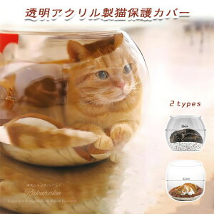 ybgp Lp  ɂ񂱂̋ L t qL ybgp Փ˖h~ L L̋ ybgpi Lpxbh L PETf LeB[} xe ybgxeΉ 킢 ʔ v[