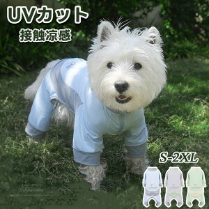   ėp⊴ UVJbg  L hbOEFA  hbOEFA ^Ngbv t ĕ Lp ڐG⊴ 悯 킢 ʐ^ j LOp[eB[  Lk   