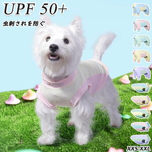   ėp⊴ UVJbg ybgEFA  L hbOEFA  ^Ngbv t ĕ Lp ڐG⊴ 悯 킢 ʐ^ Be j LOp[eB[  Lk 