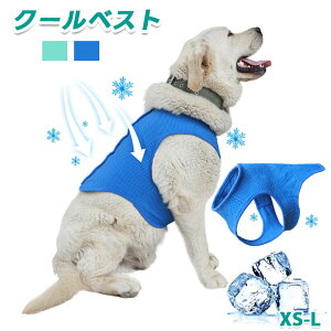  p pxXg ^p Ђ ybg ^Ngbv ⊴ i U MǑ΍   ybg ΍ ⊴ xXg  N[ Vc o P ybg