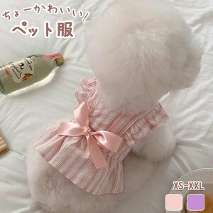   ybg̕  L hbOEFA  hbOEFA  ^Ngbv t ĕ Lp ڐG⊴ ^  ʐ^ Be j LOp[eB[  Lk  