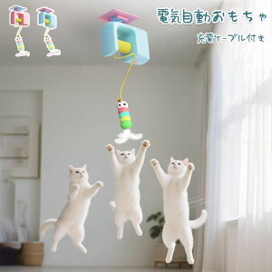 ybg  L L ߋd hAt XCO H ]ėVׂ ܂ƂΉ XgX U ^s΍ ދ {\h ˂ lR [dP[ut 