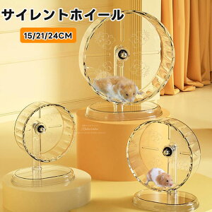 nX^[ 񂵎 a18/21/24cm TCgzC[ É GNTTCYzC[ XN[zC[ NA  pi zC[ TCg GNTTCYzC[  LN}p 