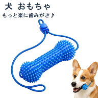 【期間限定・300円クーポン発行中】犬 おもちゃ 歯磨き 犬用 噛むおもちゃ ストラップ付き 口を開ける 口…