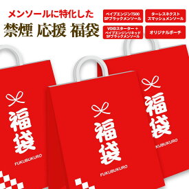 ＼福袋 & 限定セット／【全品10％OFFクーポン お盆特別企画開催中】 中身が見える！メンソール特化 福袋 2025 ベプログ福袋 ベイプエンジン ターレスネクスト VOID EARTH コスパ 禁煙 リキッド まとめ 中身が見える