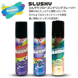 【最大15％OFFクーポン 18日まで】 Slushy スラッシー 各60ml ベプログ 電子タバコ リキッド 電子タバコ タール ベイプ ベプログ VAPE ベープ パイン