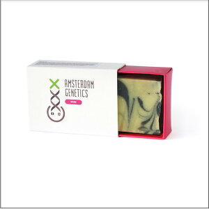 �Ό� AMSTERDAM GENETICS Hemp Oil Soap 5 Fragrances �A���X�e���_�� �W�F�l�e�B�b�N�X �w���v �I�C�� �\�[�v 5 �t���O�����X