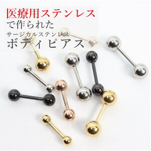 y 2Zbg zAM[Ή {fBsAX 18G T[WJXeX sAX Xg[g o[x {fBs Lb`  Y s t@[XgsAX  {fB[sAX A