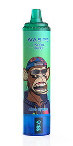ĝēdq^oR WASPE 15000 puffs Disposable Vape Kit 15000z 22ml e yʃRpNg xCv S RXp ₷ ^[0 jR`0
