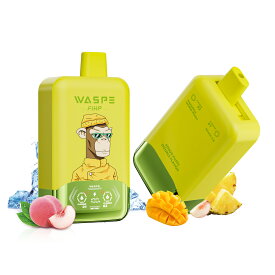 【持ち運び-ダブルフレーバ】【ピーチ＆パインマンゴピーチ】使い捨て 電子タバコ WASPE Fihp FW40000 シーシャ 使い切りタイプ VAPE Type-C充電 36mlリキッド 2つの味を切り替え 初心者向け ベイプ 携帯型 禁煙 安全 コスパ タール0 ニコチン0