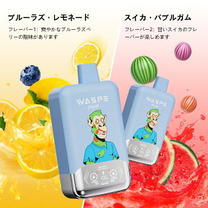 yX[p[Z[芄zWASPE Fihp FW40000 puffs Disposable Vape Kit ĝ V[V g؂^Cv VAPE Type-C[d ĝ 36mlLbh 2̖؂ւ SҌ xCv gь^ ։ S 