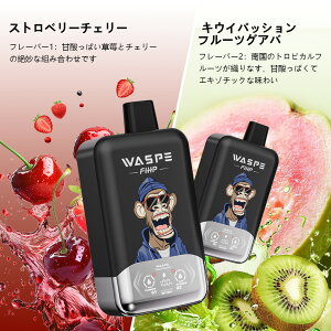 WASPE Fihp FW40000 puffs Disposable Vape Kit ĝ V[V g؂^Cv VAPE Type-C[d ĝ 36mlLbh 2̖؂ւ SҌ xCv gь^ ։ S RXp ^[0 jR`0