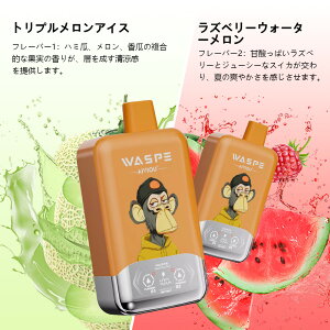 WASPE Fihp FW40000 puffs Disposable Vape Kit ĝ V[V g؂^Cv VAPE Type-C[d ĝ 36mlLbh 2̖؂ւ SҌ xCv gь^ ։ S RXp ^[0 jR`0