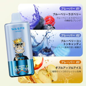 g؂^Cv WASPE 3 in 1 60000puffs Disposable Vape Kit 60000z\ ĝ dq^oR g V[V ^ t[o[ؑ։\ 54ml 650mAh 0.9 Type-C[d ։ S RXp ^[0 jR`0
