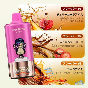 g؂^Cv WASPE 3 in 1 60000puffs Disposable Vape Kit 60000z\ ĝ dq^oR g V[V ^ t[o[ؑ։\ 54ml 650mAh 0.9 Type-C[d ։ S RXp ^[0 jR`0