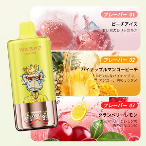 使い切りタイプ WASPE 3 in 1 60000puffs Disposable Vape Kit 60000回吸引可能 使い捨て 電子タバコ 携帯 シーシャ 持ち運び フレーバー切替可能 54ml 650mAh 0.9Ω Type-C充電 禁煙 安全 コスパ タール0 ニコチン0