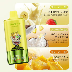 g؂^Cv WASPE 3 in 1 60000puffs Disposable Vape Kit 60000z\ ĝ dq^oR g V[V ^ t[o[ؑ։\ 54ml 650mAh 0.9 Type-C[d ։ S RXp ^[0 jR`0