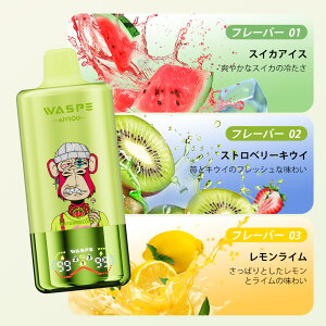 y}\Izg؂^Cv WASPE 3 in 1 60000puffs Disposable Vape Kit 60000z\ ĝ dq^oR g V[V ^ t[o[ؑ։\ 54ml 650mAh 0.9 Type-C[d ։ 
