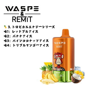 yX[p[Z[IgzhIzWaspe & Remit 4 IN 1 100000 Puffs Disposable Vape kit 100000z\ ĝ dq^oR g V[V ^ t[o[ؑ։\ 56ml 650mAh 1.0 Type-C
