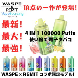 【スーパーセール限定！今だけ“半額爆割”！】Waspe & Remit 4 IN 1 100000 Puffs Disposable Vape kit 100000回吸引可能 使い捨て 電子タバコ 携帯 シーシャ 持ち運び フレーバー切替可能 56ml 650mAh 1.0Ω Type-C充電 禁煙 タール0 ニコチン0