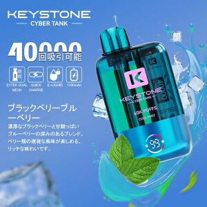ytR[ۏ؁Izg؂^Cv KEYSTONE Ceek Cyber 40K VAPE ĝēdq^oR ^N e 1100mAhobe[ S҂ ։T|[g MTL/RDLΉ 5t[o[ L[Xg[ 