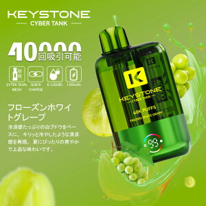 ytR[ۏ؁Izg؂^Cv KEYSTONE Ceek Cyber 40K VAPE ĝēdq^oR ^N e 1100mAhobe[ S҂ ։T|[g MTL/RDLΉ 5t[o[ L[Xg[ 