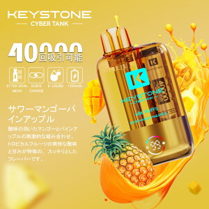 yo͒\zg؂^Cv KEYSTONE Ceek Cyber 40K VAPE ĝēdq^oR ^N e 1100mAhobe[ S҂ ։T|[g MTL/RDLΉ 5t[o[ L[Xg[ P[