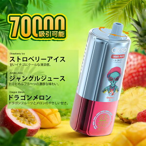 OKSO 3 in 1 70000Puffs �g���̂�VAPE 3�t���[�o�[�ؑ� 48ml��e�� LED�f�B�X�v���C Type-C�[�d ���R�X�p���f�� �d�q�^�o�R �x�C�v �։� �����^�� �R���p�N�g �^�[��0 �j�R�`��0