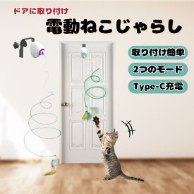 Type-C 充電式 電動 猫じゃらし 充電ケーブル付 羽根付き 一人遊び おもちゃ ドア掛け 吊り下げ 運動不足解消 2つのモード お留守番 動く