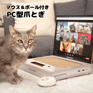 PC^ Lp ܂Ƃ ܌ ˂ݕt {[t  u^ bNX XgX 킢 ʔ