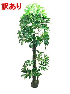 観葉植物 リアルプラント 人工観葉植物の人気商品 通販 価格比較 価格 Com 観葉植物 リアルプラント 人工観葉植物の人気商品 通販 価格比較 価格 Com