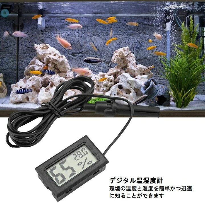 Sale 68 Off Lcd デジタル水温計 ブラック 水槽 温度計 デジタル 吸盤付 金魚鉢 アクアリウム テラリウム 水温管理 Shipsctc Org