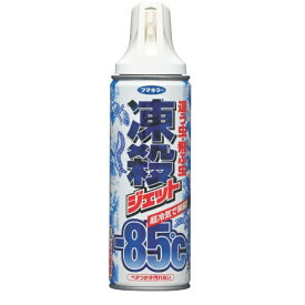 フマキラー 凍殺ジェット 這う虫・飛ぶ虫用 300ml[送料無料(一部地域を除く)]