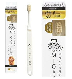 ミガケンデ 小型犬用 歯ブラシ 1本(ヤギ植毛:超やわらか) 日本製 天然毛 MIGAKENDE 白[定形外郵便、送料無料、代引不可]