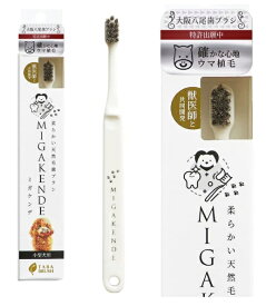 ミガケンデ 小型犬用 歯ブラシ 1本(ウマ植毛:しっかり) 日本製 天然毛 MIGAKENDE 白[定形外郵便、送料無料、代引不可]