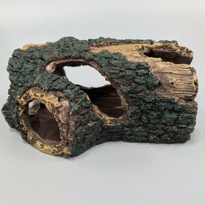    IuWF STCY Mы ANAE eE CAEg  B[(ꕔn)]