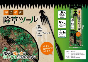 c- EDN-439  G Ő  ЎL ؉ XeX |p yN [`OXցAAs]