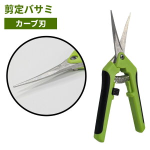 nT~ J[un oT~ ׂ RpNg ʎ ~ | [䂤pPbgAAs]