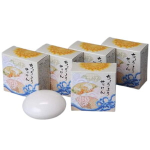 o[o  傤悤 Y  100g s5t ΂ nh\[v[(ꕔn)]