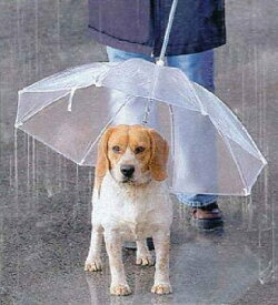 ペット用 傘 《クリア》 チェーン付き ペットアンブレラ 犬用 散歩 雨傘 リード 首輪[ペット][送料無料(一部地域を除く)]