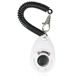 ybgpNbJ[ ybg p ʖih~ ^ Ppi[`OXցAAs]