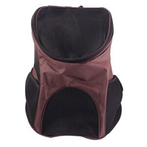 ybgp bNTbN suEt sLTCYt ʋC o L[[(ꕔn)]