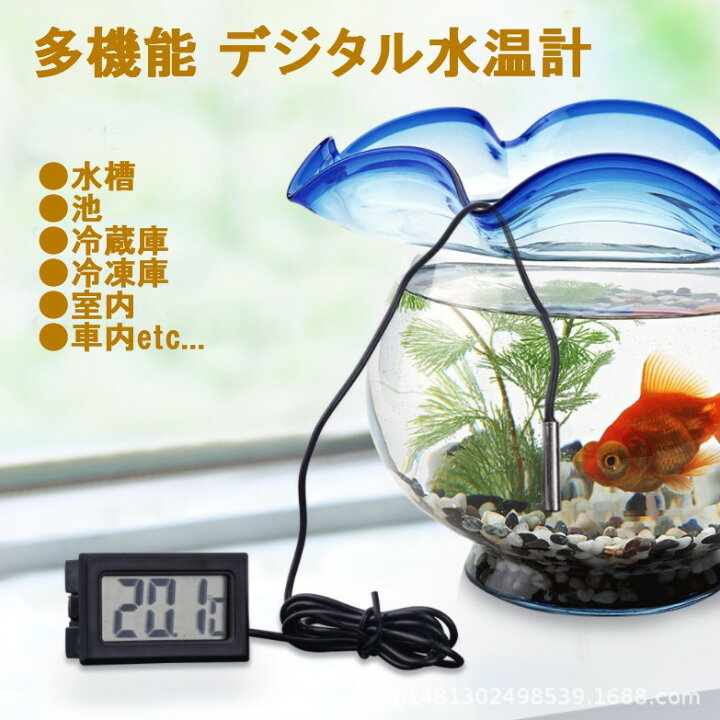 楽天市場 デジタル 温度計 ホワイト 多機能 プローブ付 Lcd 50 から110 液晶 水槽 池 水族館 室内 車内 冷蔵庫 冷凍庫 テラリウム 定形外郵便 送料無料 代引不可 Le Ciel