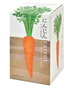 V| ō؍͔|Zbg ɂ񂶂 lQ[(ꕔn)]