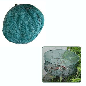  ނp ނ d|  Ԃ ߊl tBbVO Gr Jj [(ꕔn)]